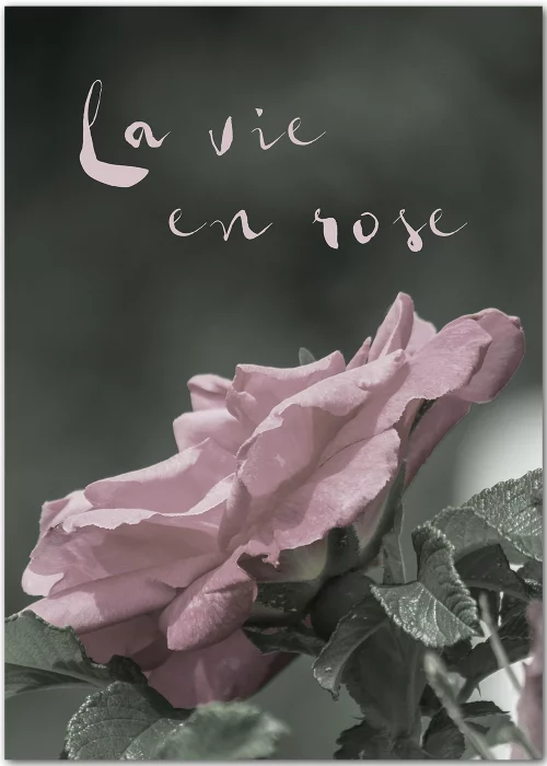 Poster mit einer rosa Rose auf dunkelgrünem Grund und inspirierendem Spruch