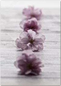 Poster mit auf einem Tisch aufgereihten Kirschblüten