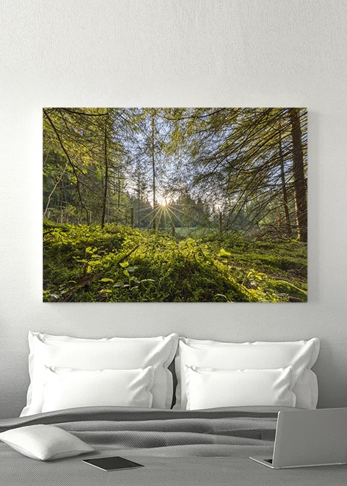 Poster mit einem spätsommerlichen Wald in spannender Perspektive und einem Sonnenstern über einem Bett hängend