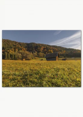 Herbstliche Bergwiese | Bergeposter