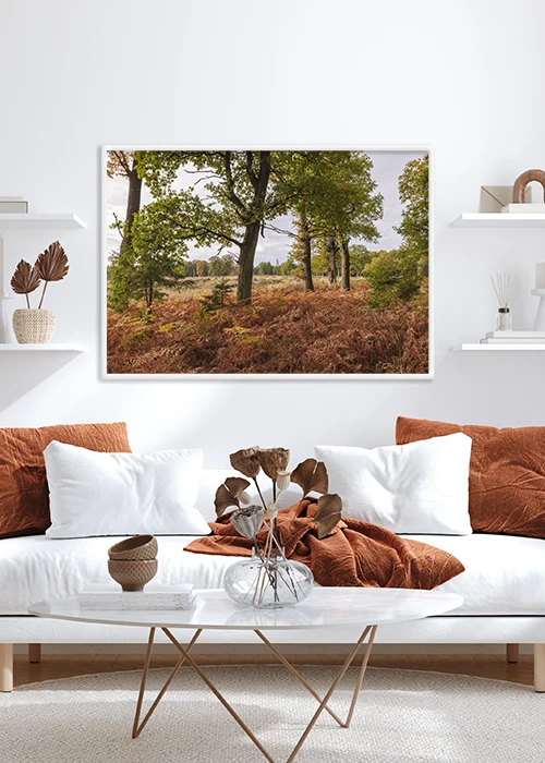 Hochwertiges Poster in weißem Rahmen mit Eichen im Herbst über einem Sofa
