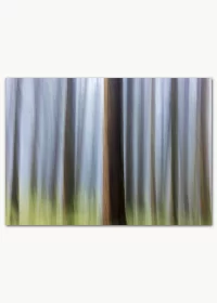 Hochwertiges Poster mit einer Kunstfotografie von Bäumen im Wald