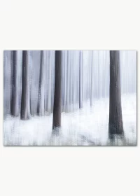 Hochwertiges Poster mit Winterbäumen in einem mystischen Wald