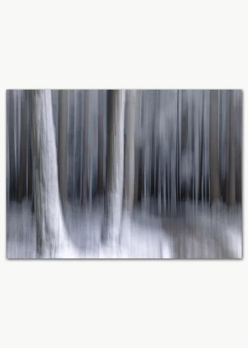 Hochwertiges Poster mit Winterbäumen in einem nebligen Wald