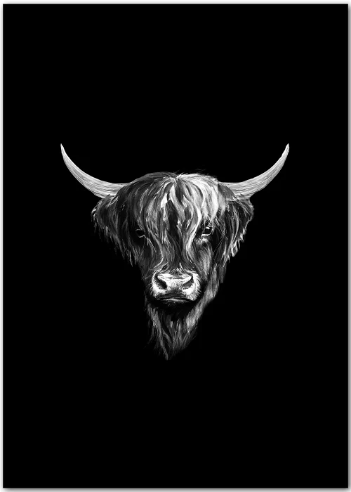 Hochwertiges Poster mit Highland Rind als Porträt in schwarz-weiss.