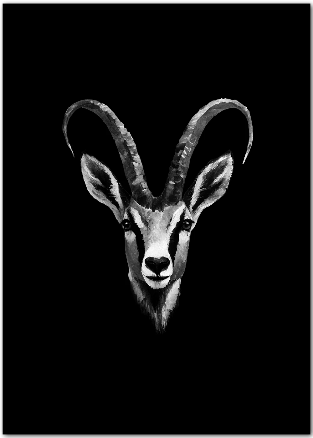 Hochwertiges Poster mit einem Gamsbock Porträt in Schwarz-Weiss. Hochwertiges Poster mit einem Gamsbock Porträt in Schwarz-Weiss.