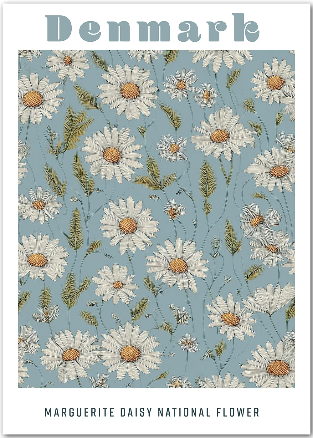 Poster mit Margeriten, der National-Blume Dänemarks Poster mit Margeriten, der National-Blume Dänemarks