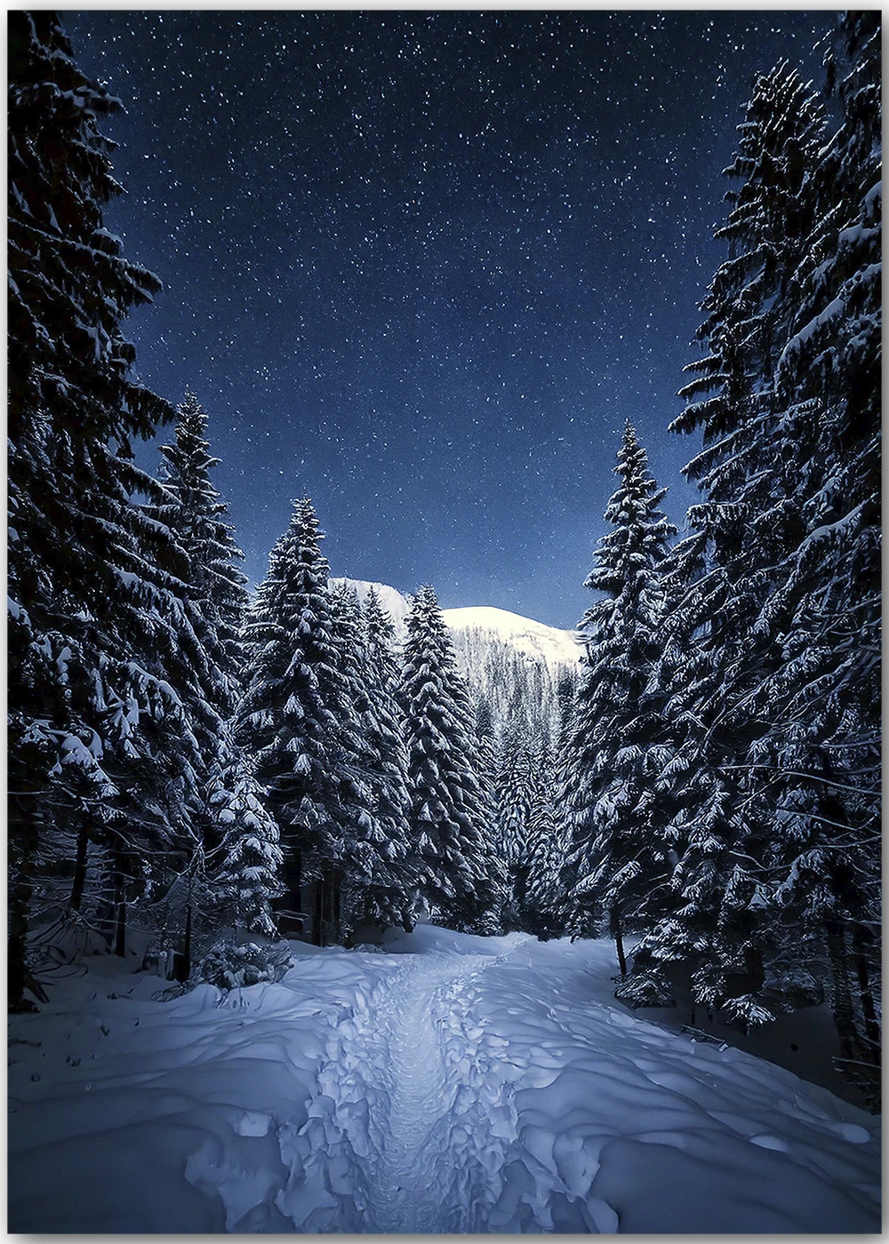Weihnachtliches Winterposter, Wald im Schnee bei Mondschein. Weihnachtliches Winterposter, Wald im Schnee bei Mondschein.