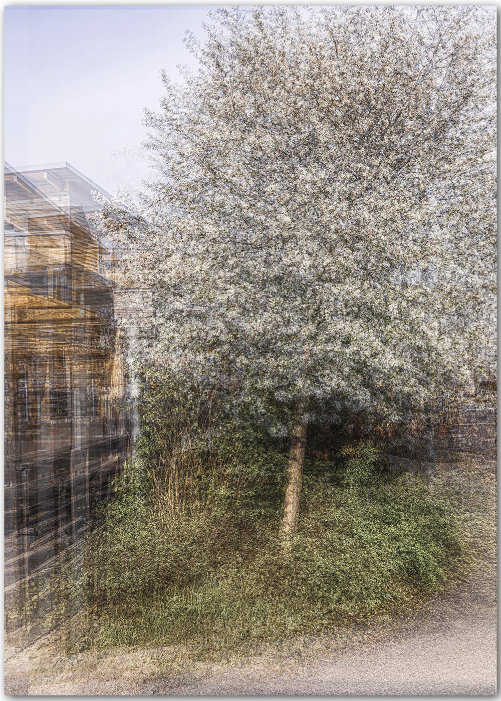 Wandbild mit einer abstrakten Darstellung eines Apfelbaums in voller Blüte