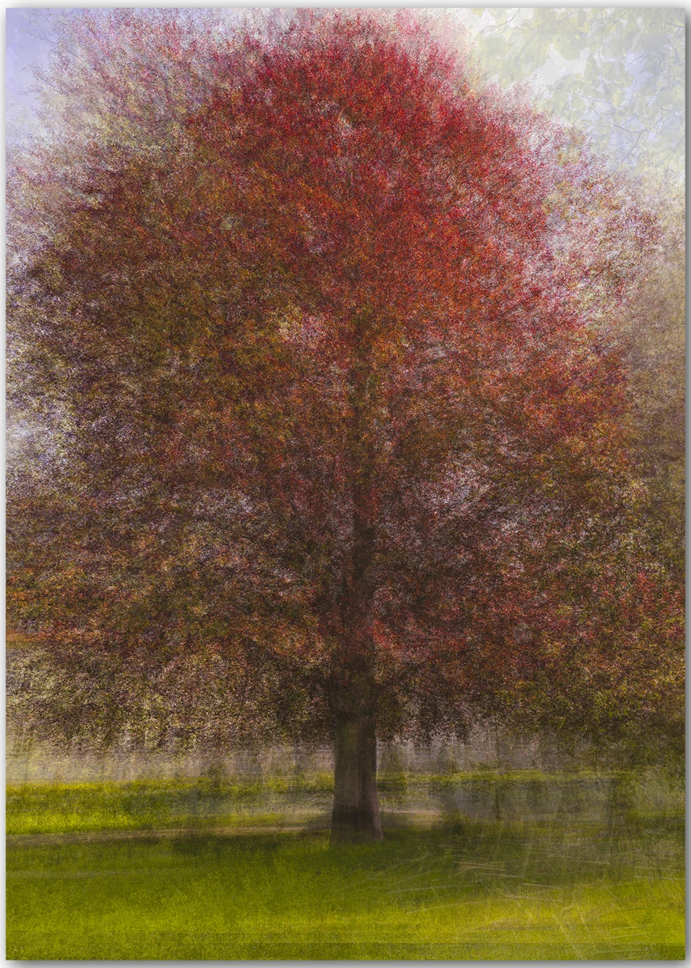 Abstraktes Fotografieposter mit einem roten Baum Abstraktes Fotografieposter mit einem roten Baum