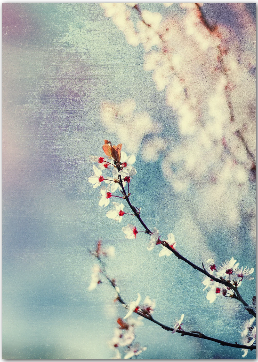 Impressionistische Fotografie mit einem Blütenzweig.