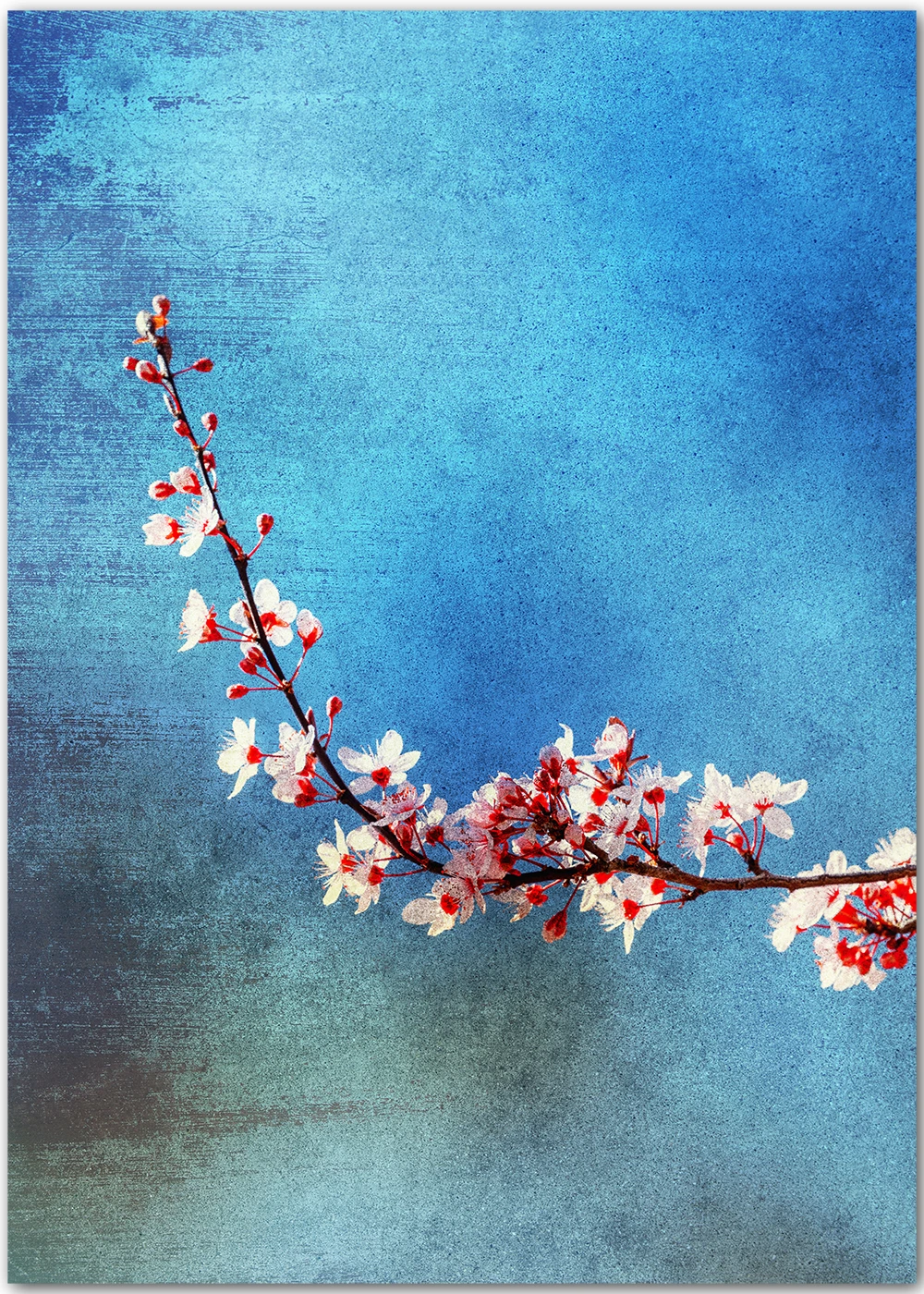 Impressionistische Fotografie mit einem Blütenzweig.