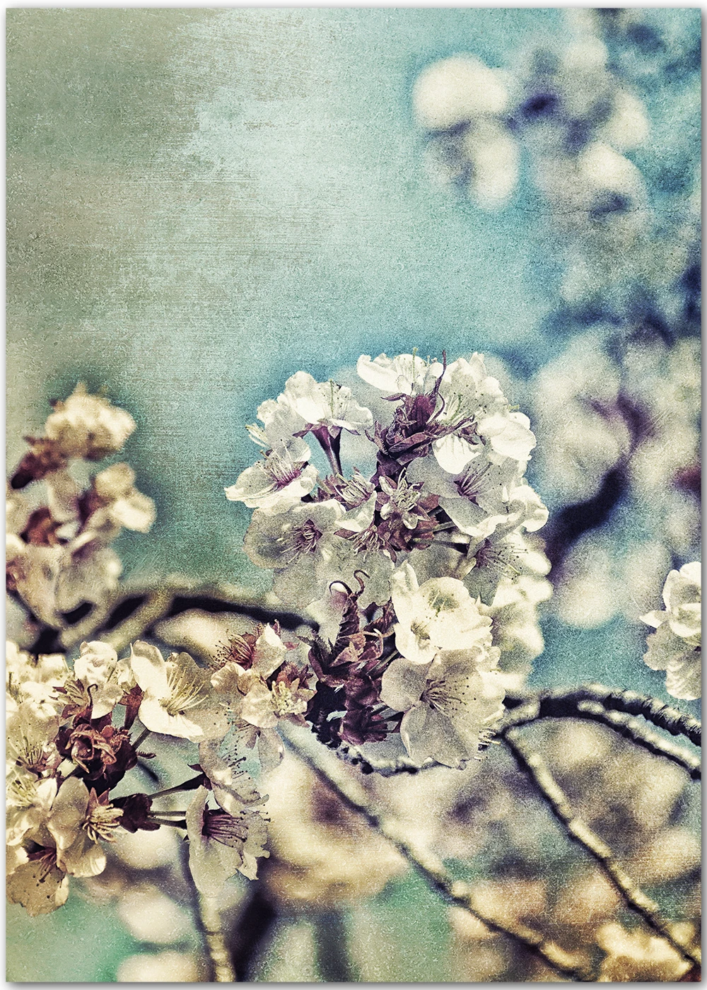 Impressionistische Fotografie einer Kirschblüte im Vintage-Stil.