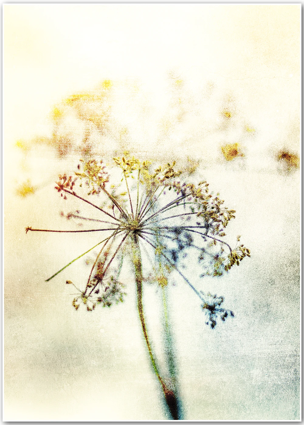 Impressionistische Fotografie von getrockneten Gräsern.