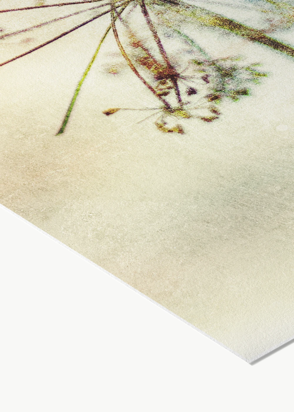 Impressionistische Fotografie von getrockneten Gräsern als Fine-Art-Print auf Hahnemühle Photo Rag.