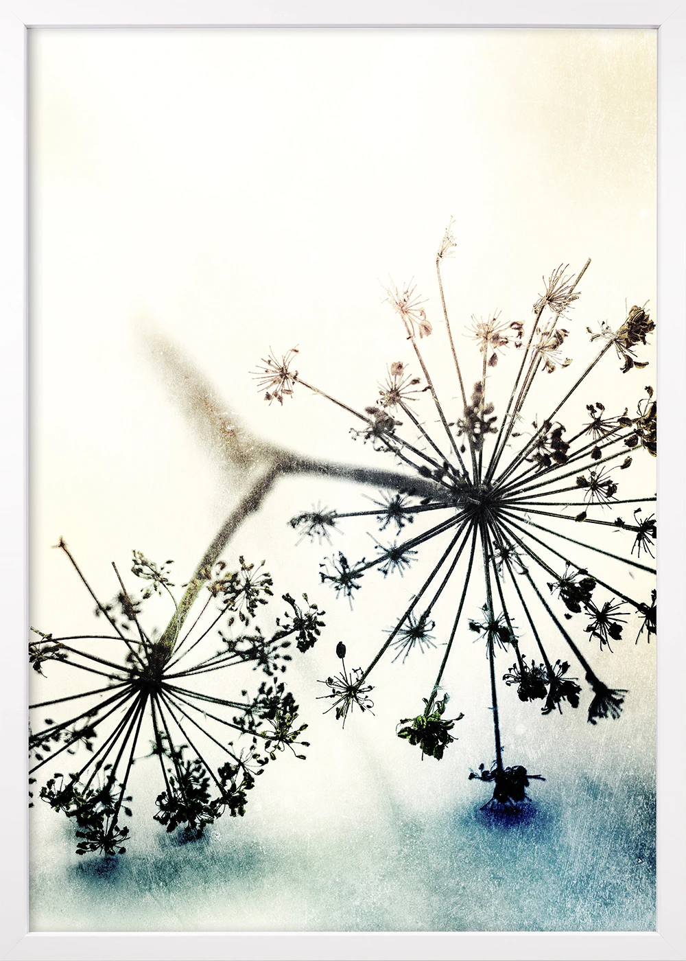 Dry Grass 2 » poetisches Stilleben