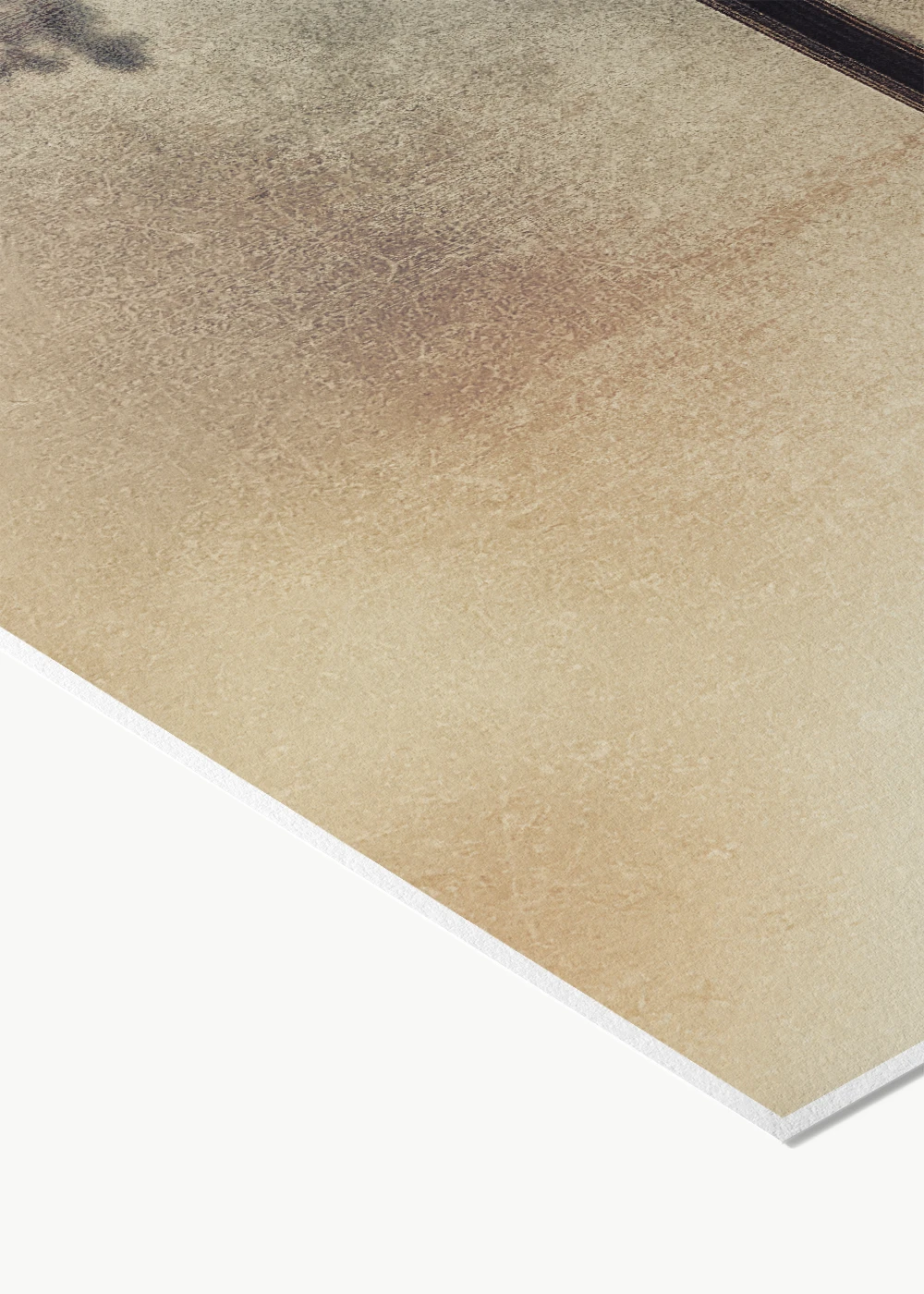 Fine-Art-Print auf Hahnemühle Photo Rag. Einer minimalistisch fotografierte Wildstaude. Fine-Art-Print auf Hahnemühle Photo Rag. Einer minimalistisch fotografierte Wildstaude.