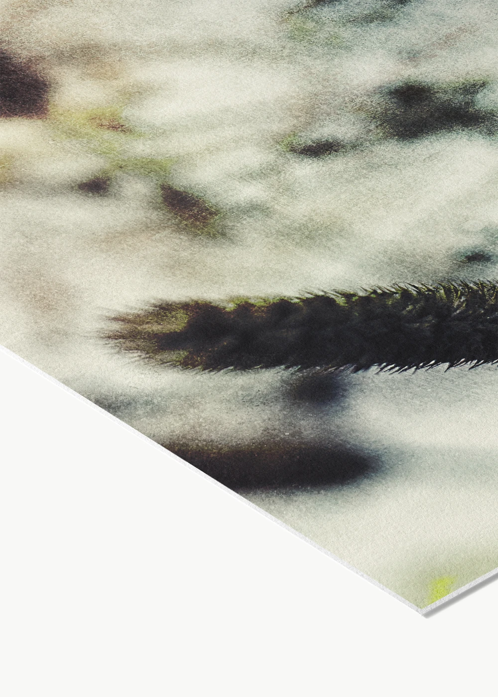 Abstrakte Kunstfotografie von getrockneten Gräsern als Fine-Art-Print auf Hahnemühle Photo Rag.