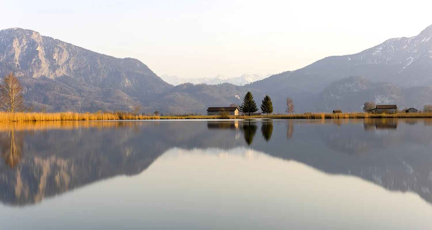 autodidakt-naturöiebhaber-ueber-mich