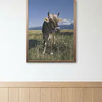 Stylische Bayern Poster - Motive von Thomas Kaminsky