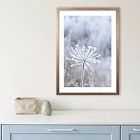 Wintermotive bei der Posterschmiede